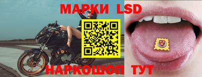 крисы Моздок