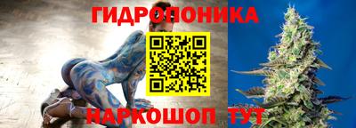 крисы Моздок