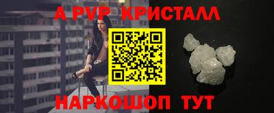крисы Моздок