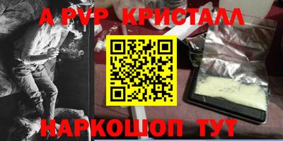 крисы Моздок