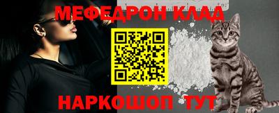 крисы Моздок