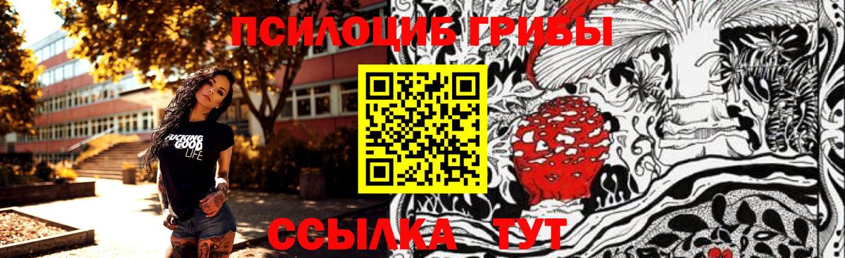 Галлюциногенные грибы Cubensis  Вход с VPN  Углич 